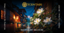 Midnight Bloom | Extrait de Parfum